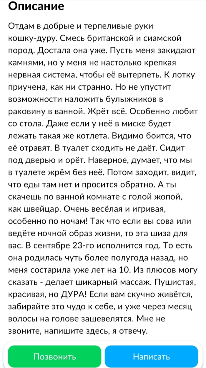 Авито барнаул доска бесплатных объявлений от частных лиц животные
