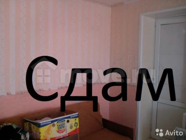 Авито шексна недвижимость квартиры покупка свежие объявления