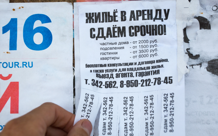 Авито светлый калининградская область бесплатные объявления