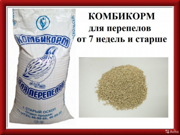 Бесплатная доска объявлений старый оскол