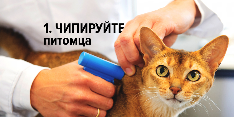 Частные объявления о продаже машин