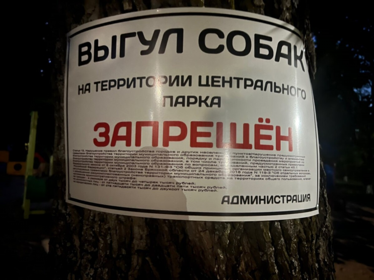 Доска объявлений климово