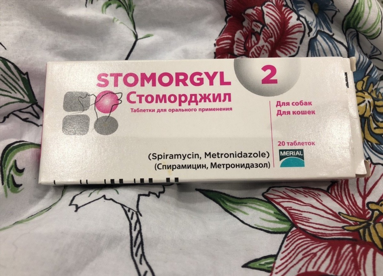 Доска объявлений москва 2