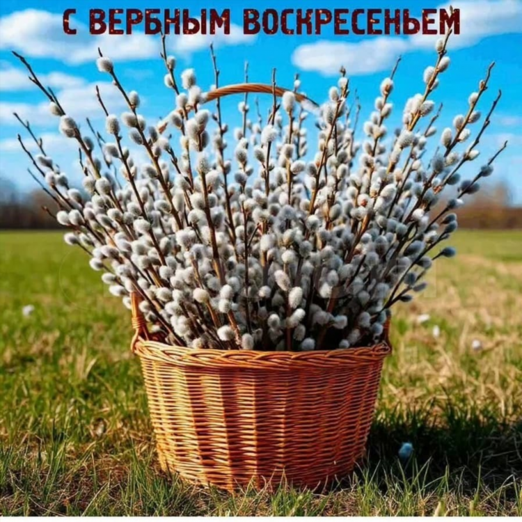 Доска объявлений в городе альметьевск
