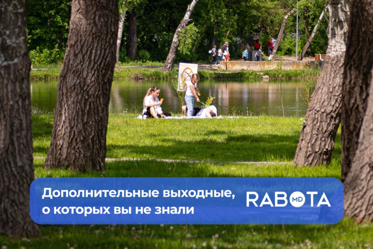 Ищу работу дать объявление бесплатно