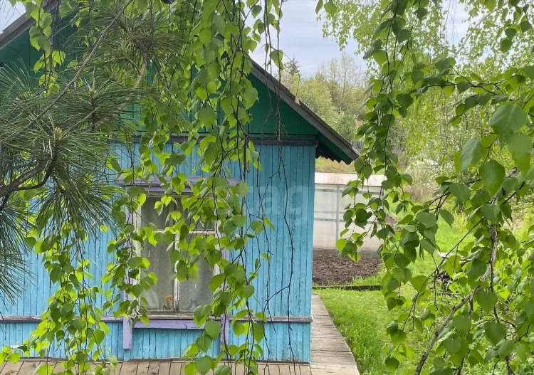Купить дачу свежие объявления