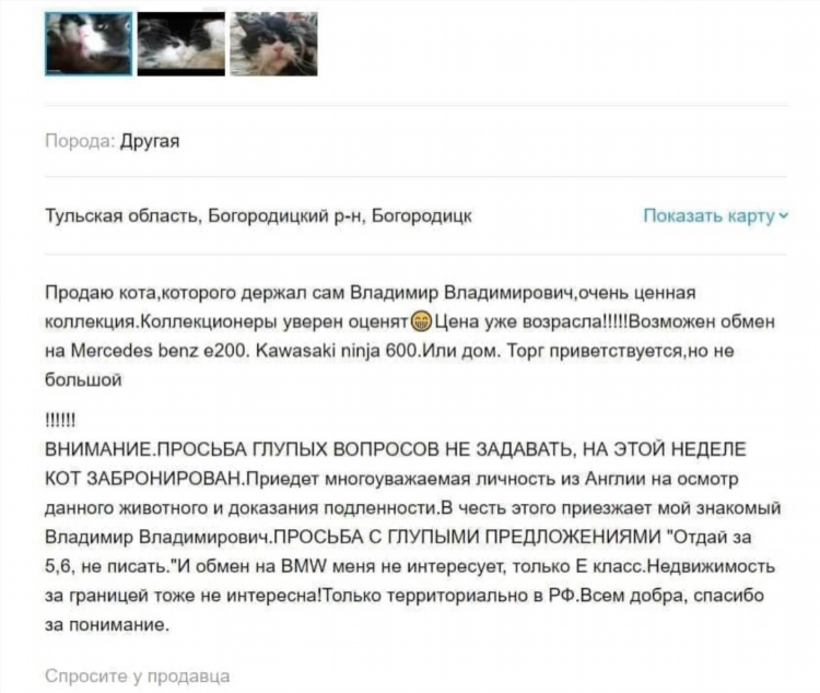 Купить дом в богородицке тульской области на авито свежие объявления