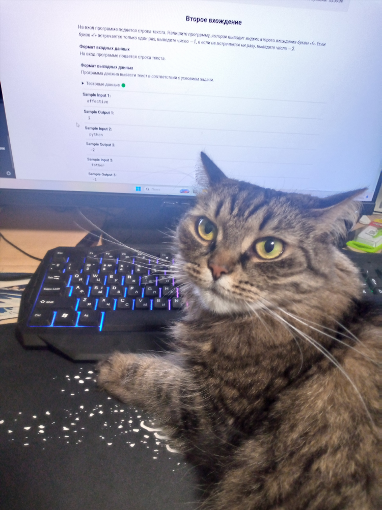 Объявление кортежа python