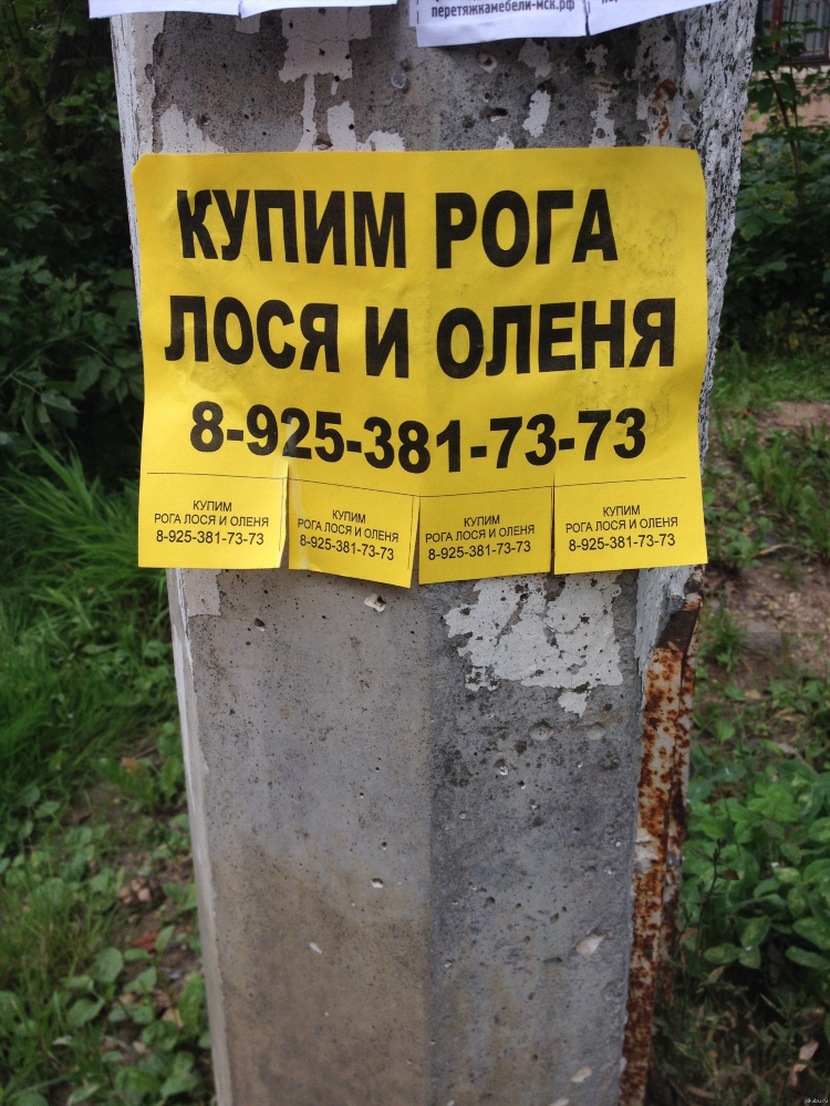 Объявление на столбе