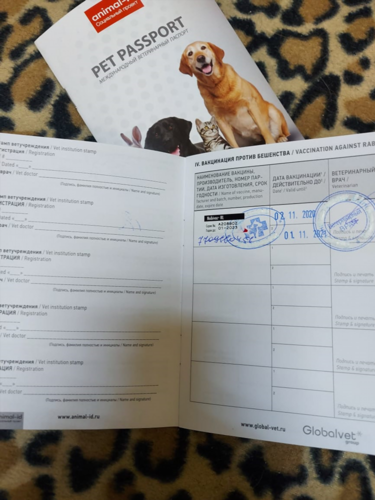 Объявление о продаже собаки образец