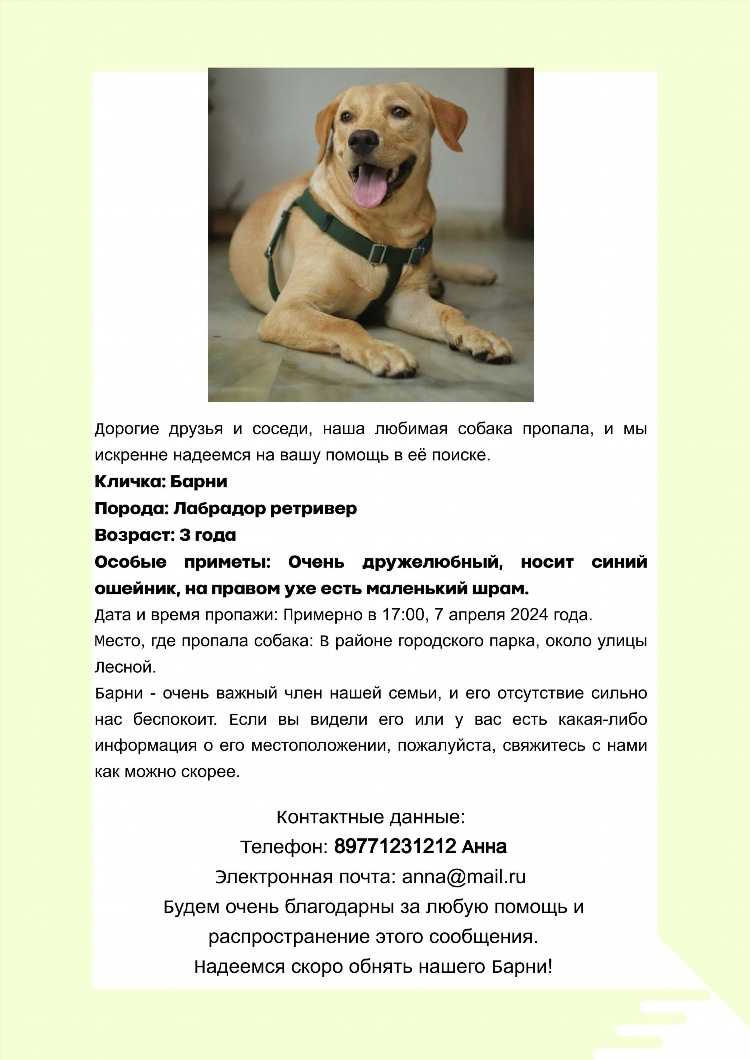Объявление о пропаже телефона