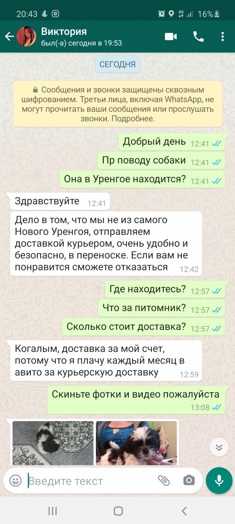 Объявления авито о покупке