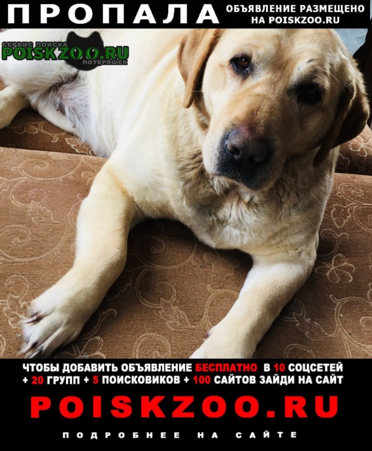 Объявления кашары ростовская область