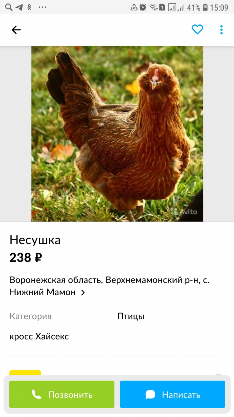 Объявления на авито волгоградская область