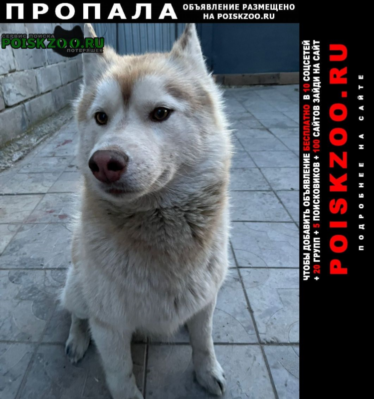 Орск объявления