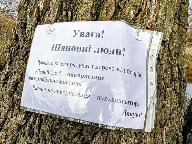 Павлоградская доска объявлений