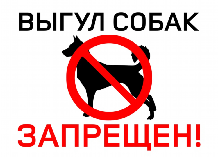 Потеряшки омск собаки новые объявления